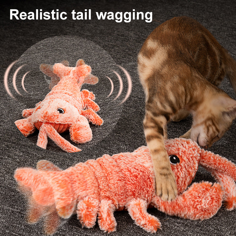 BowLift | Interactive Cat And Dog Toy