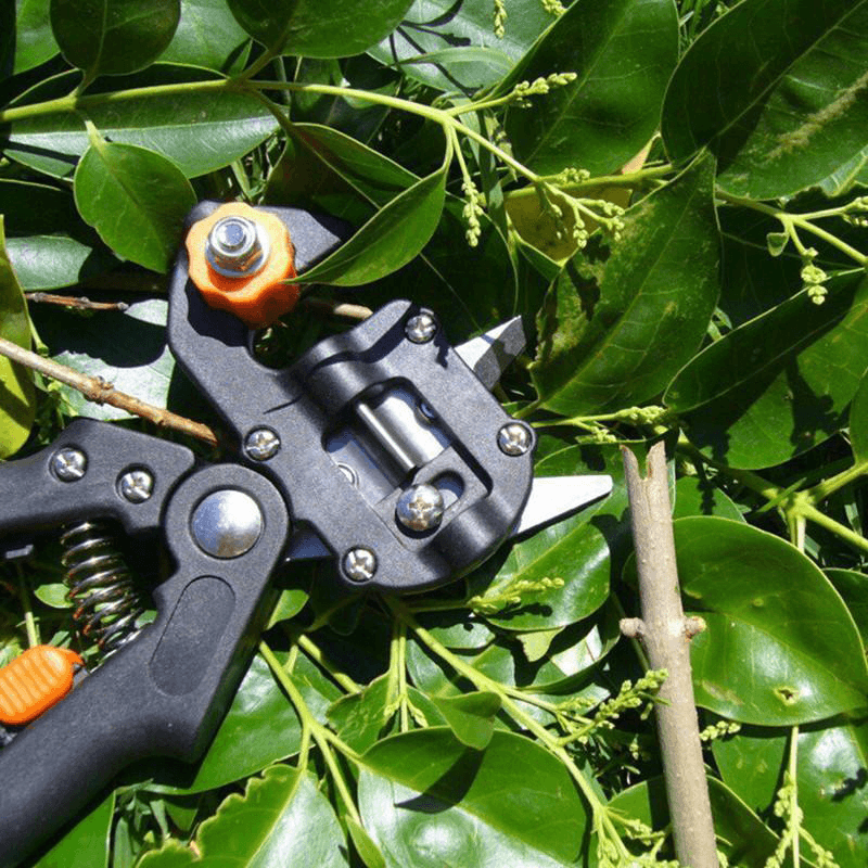 BowLift | Professional Garden Grafting Tool Set