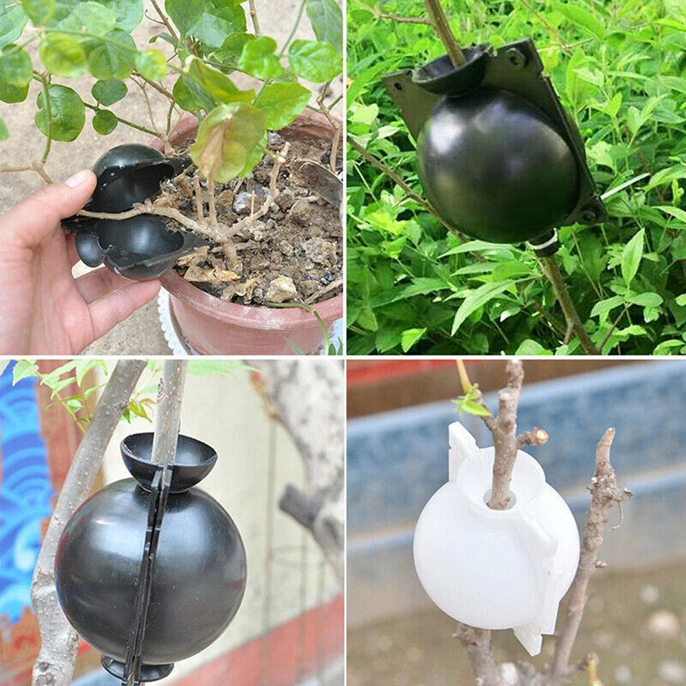 BowLift | Plant protection balls for roots – Protective caps for safe replanting and growth