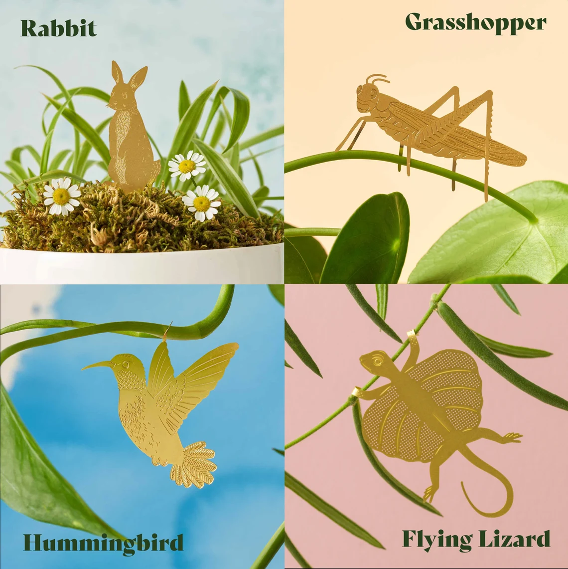 BowLift | Plant Animal Decorations