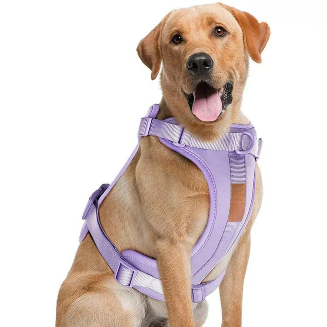 BowLift | ComfyPaws Dog Harness Walking Set with Leash and Poop Bag Holder