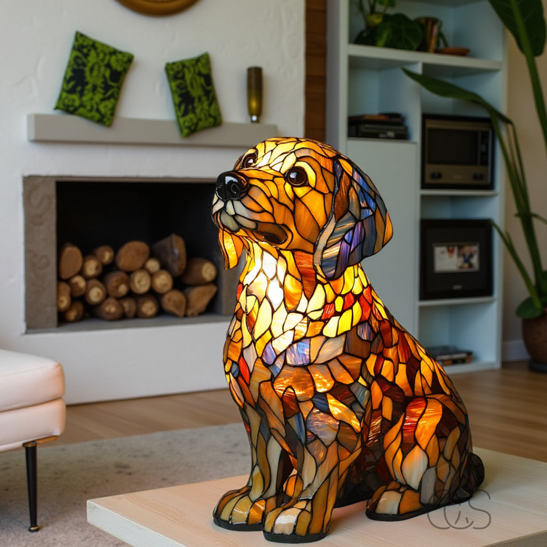 BowLift | GlowPet – The night light that warms hearts!