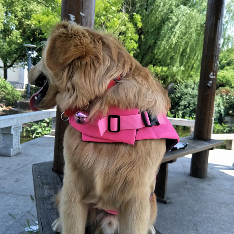 BowLift | Dog Swim Safety Jacket