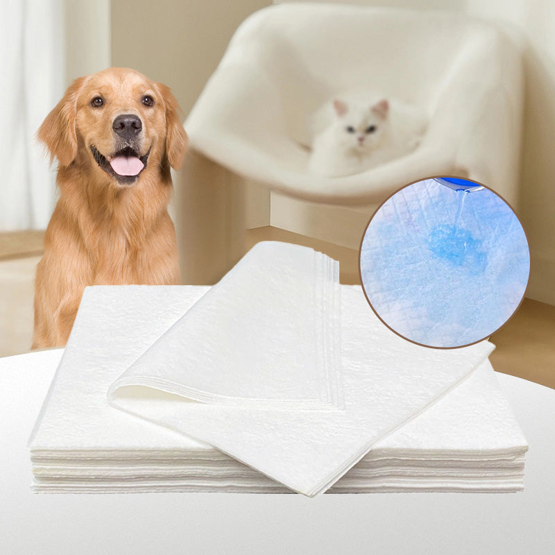 BowLift | Pet Absorbent Paper (50 pieces)