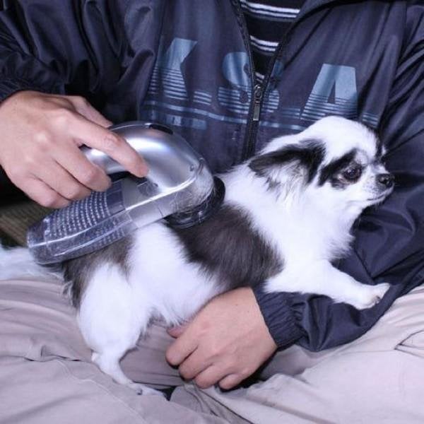 BowLift | Best handheld vacuum for pet hair