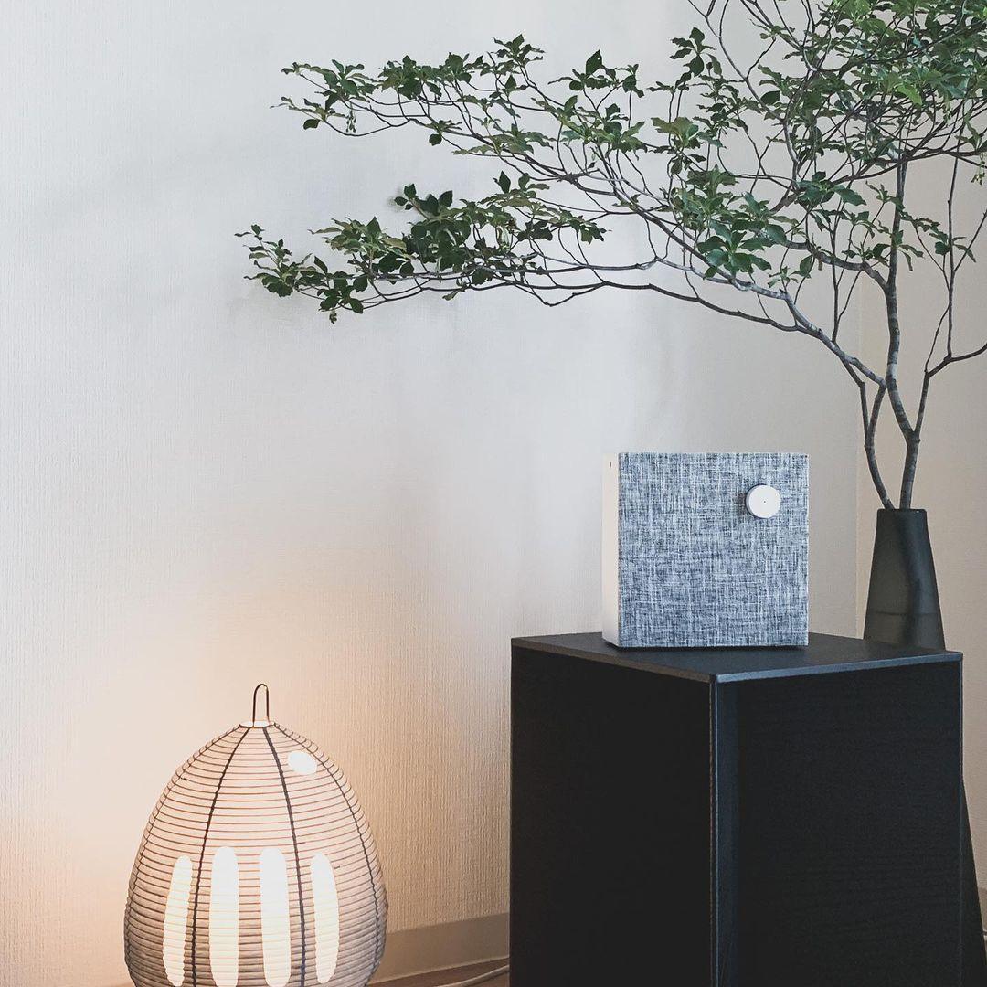 BowLift | Paper table lamp