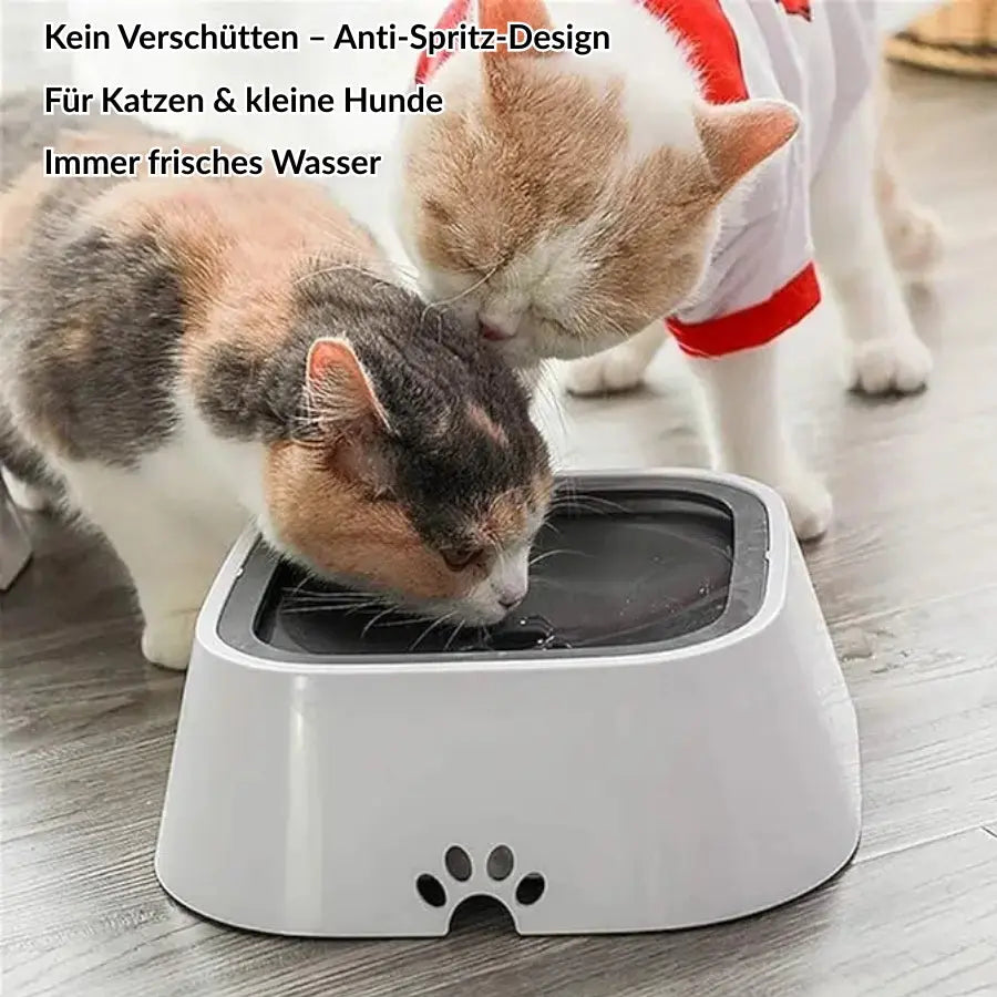 BowLift | Anti-Splash Water Dispenser for Cats & Dogs – Fresh Water, Clean Floors