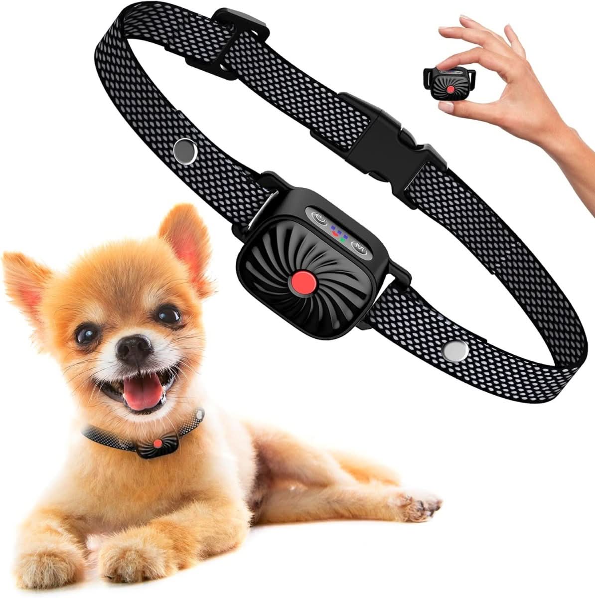 BowLift | Gentle training collar with sound & vibration