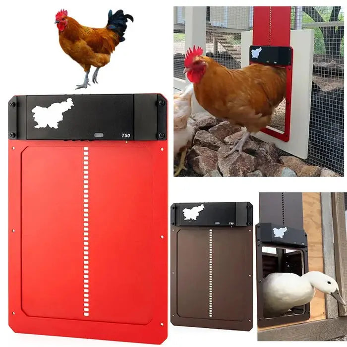 BowLift | Automatic Chicken Coop Door - Weatherproof & Predator Safe with Easy Installation