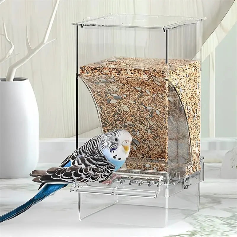 BowLift | Automatic Bird Feeder – No Mess, No Stress
