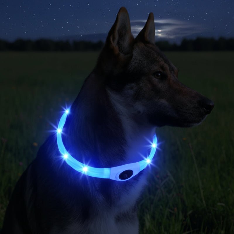 BowLift | LED Light Collar for Dogs for Safe Walks at Night
