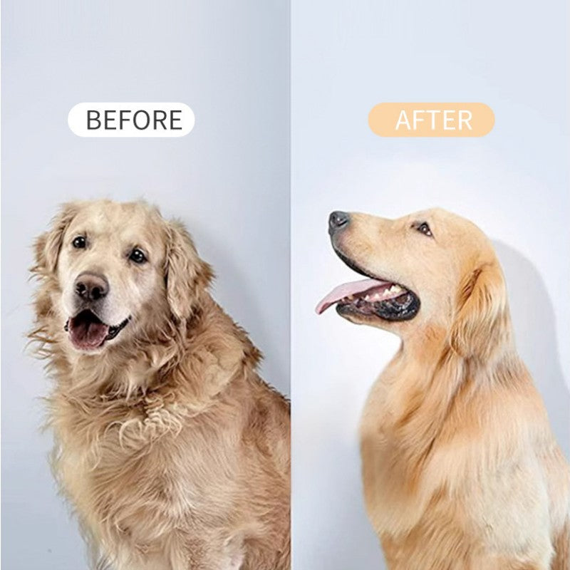 BowLift | Pet De-Shedding Spray And Blow-Dry Brush