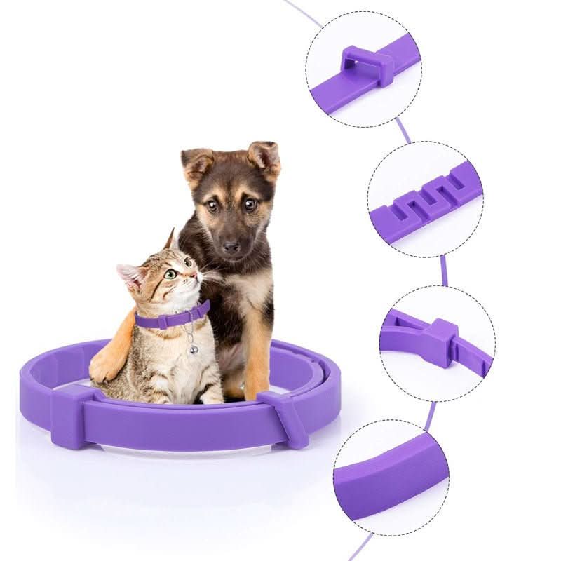 BowLift | Calming collar with pheromones for relaxed dogs