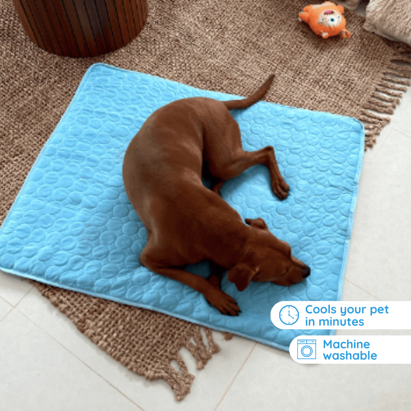 BowLift | Self-Cooling Mat for Quadrupeds Perfect for Hot Summer