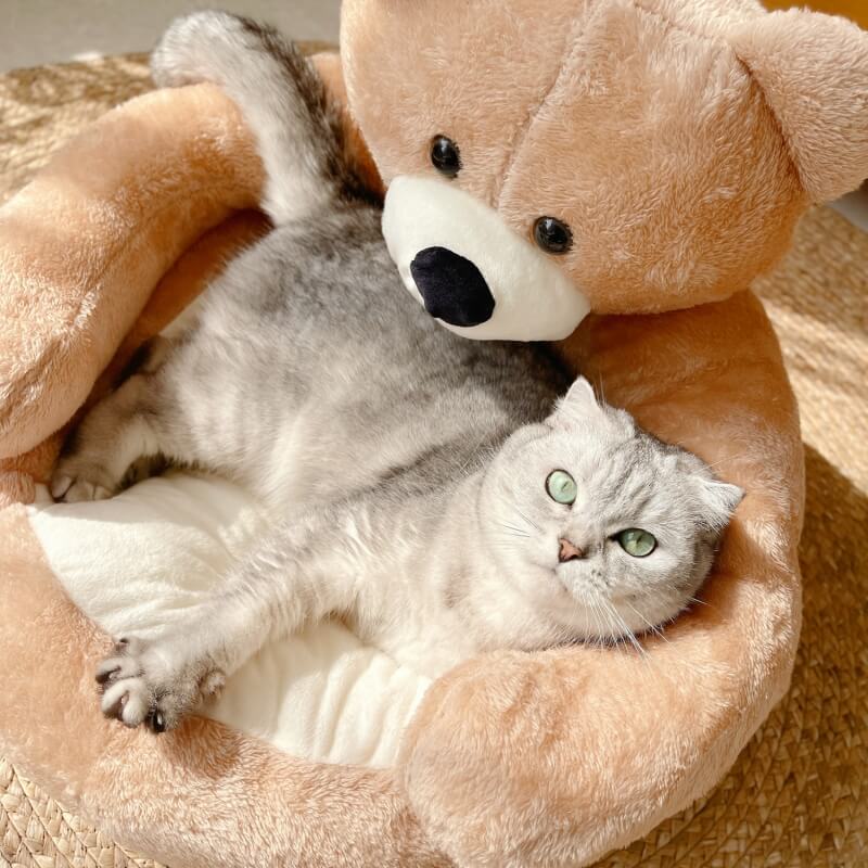 BowLift | Cute detachable cuddly bear cat bed