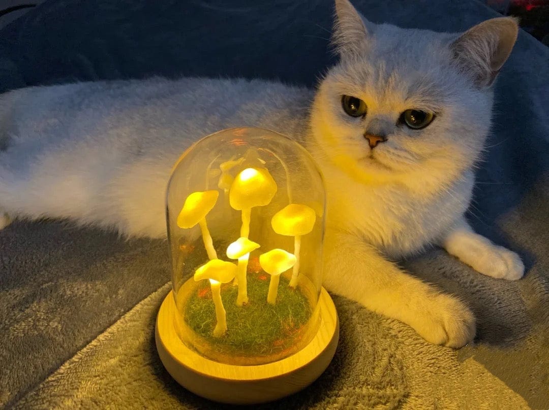 BowLift | Home cultivation with a touch of magic