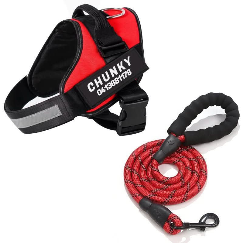 BowLift | DOGSAFE HARNESS – Safety dog harness with name tag & reflectors