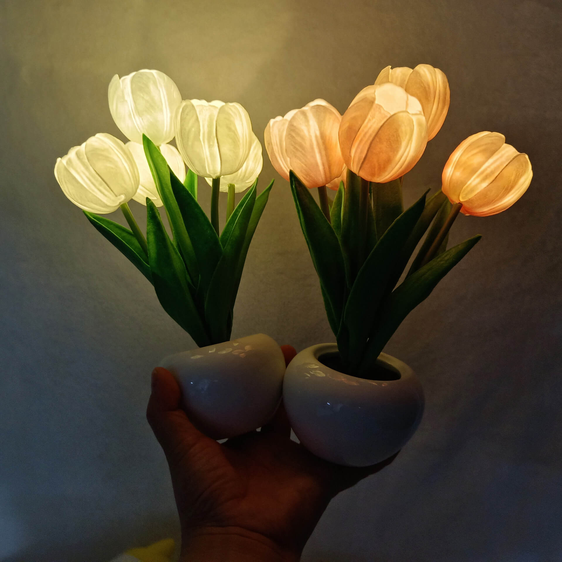 BowLift | Modern Creative Simulation Tulip Peony LED Night Light Table Lamp