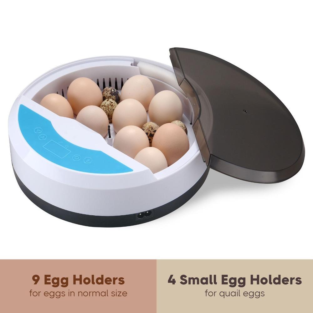 BowLift | Egg Incubator for Chicken Eggs Incubator for Egg Hatching Chicks with Temp Control LED Chicken Hatcher