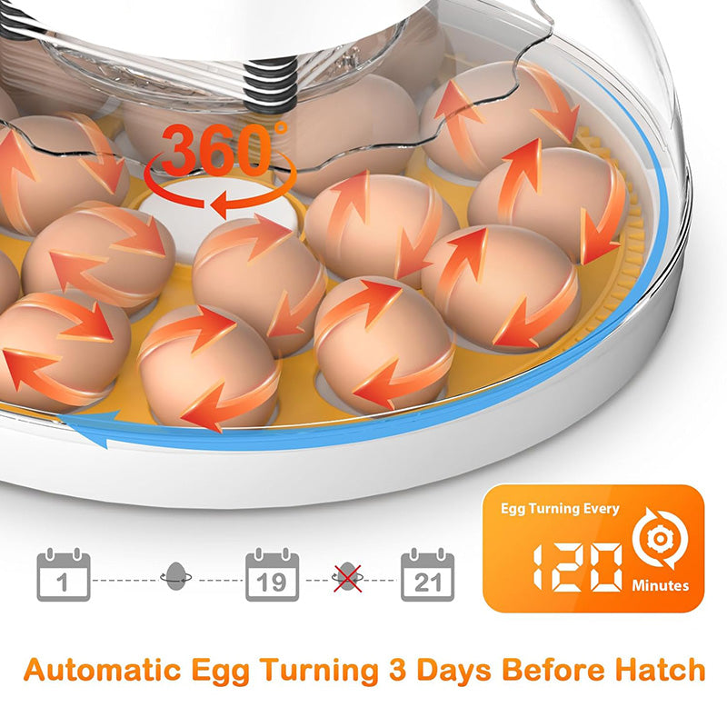 BowLift | 18 Egg incubator with automatic Egg turning and humidity control Incubator for chicken Eggs for Hatching Chickens