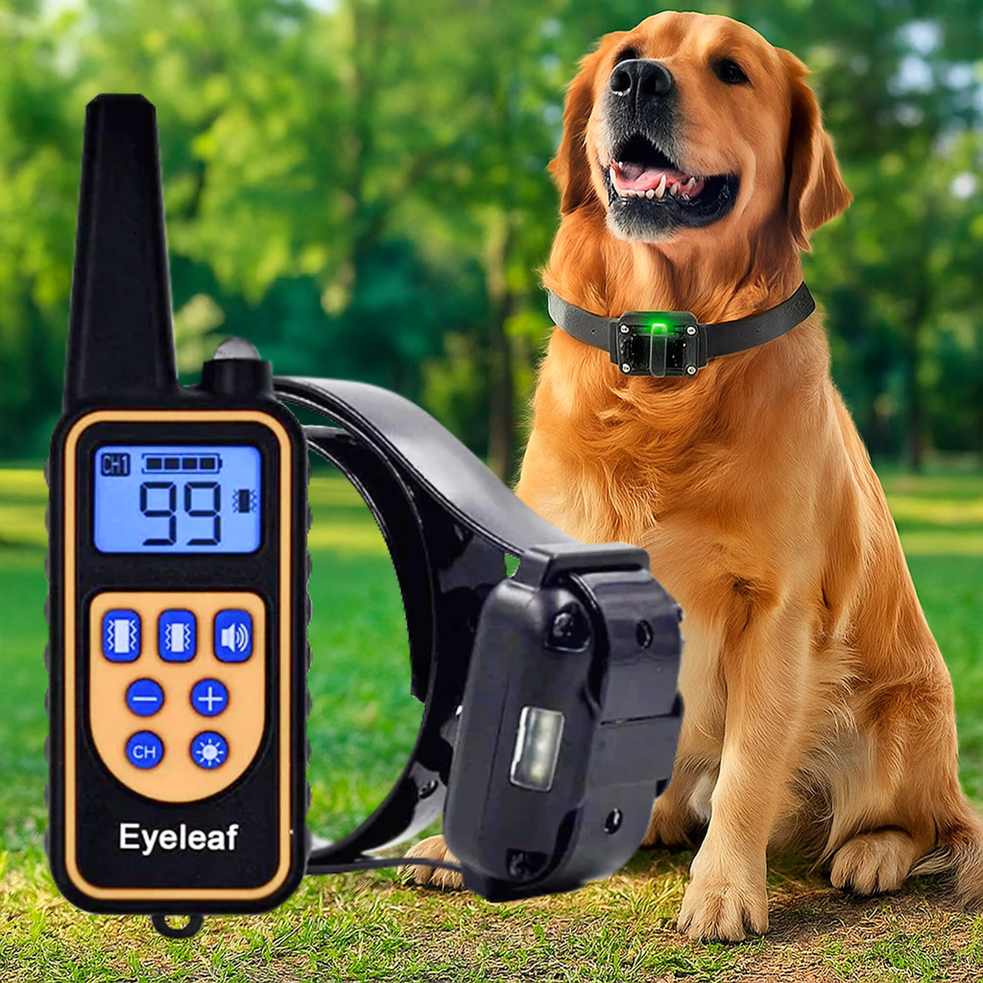 BowLift | 800M Rechargeable Electric Dog Training Collar | Waterproof, Remote Control & Ideal for Effective Dog Training
