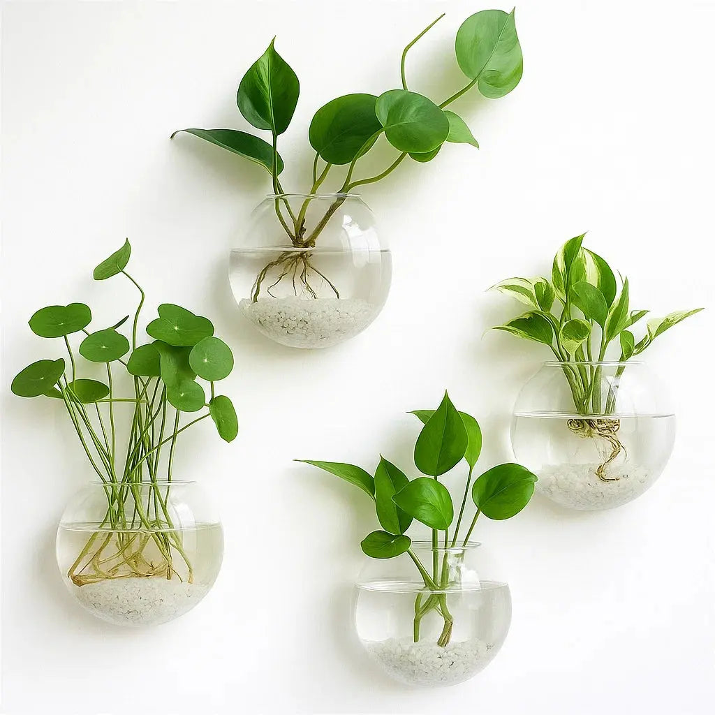 BowLift | Elegant Glass Wall Vases – For Cuttings & Decor