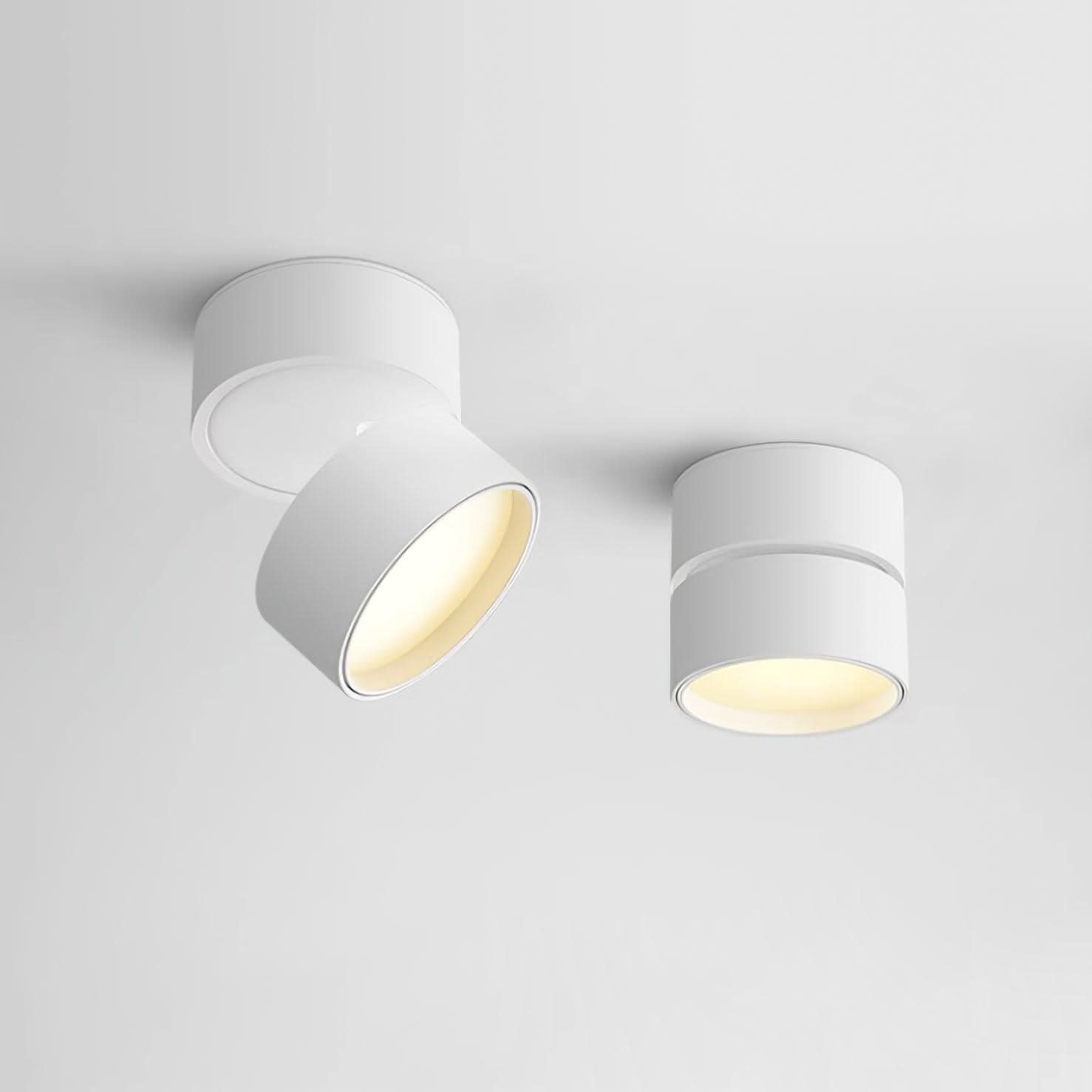 BowLift | Adjustable Surface LED Ceiling Light Warm White