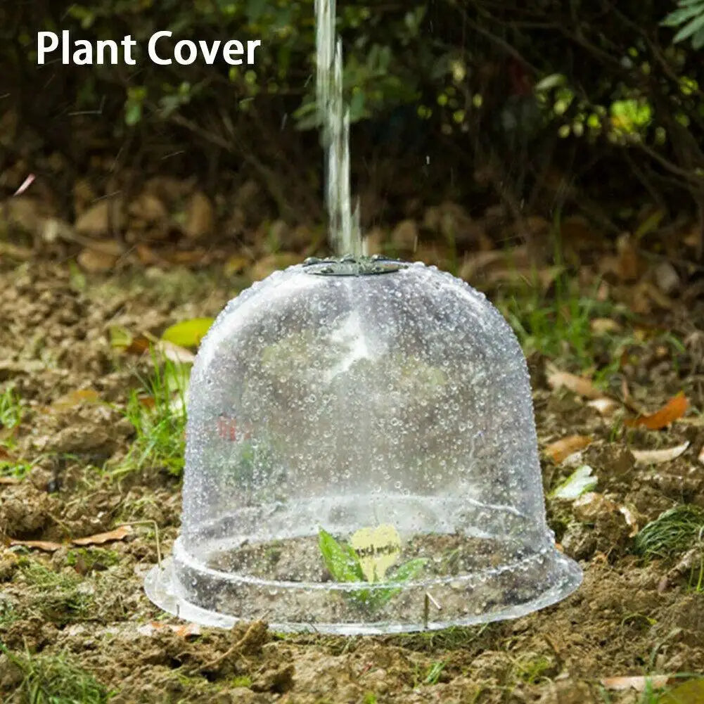 BowLift | Frost Protection Clear Garden Plant Cover