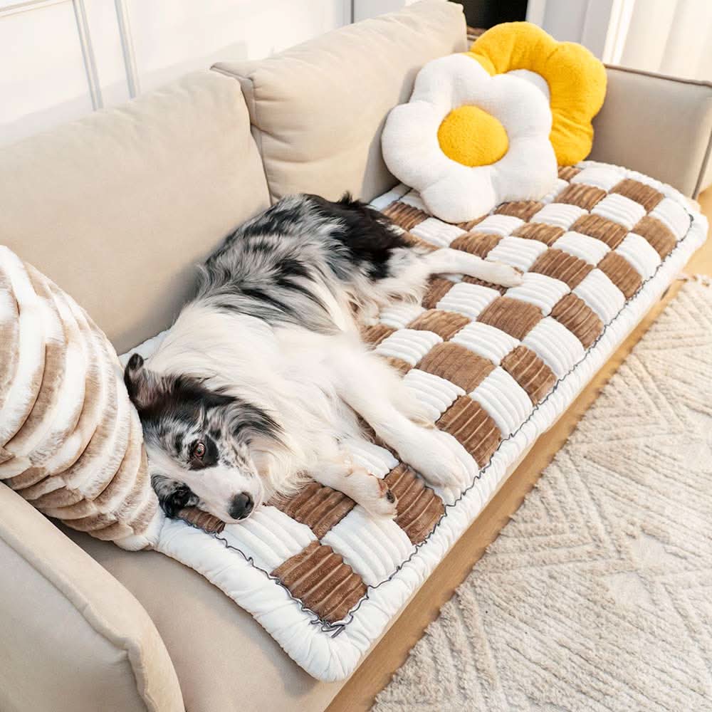 BowLift | COZYCOVER – Cozy pet blanket made of chenille with furniture protection function