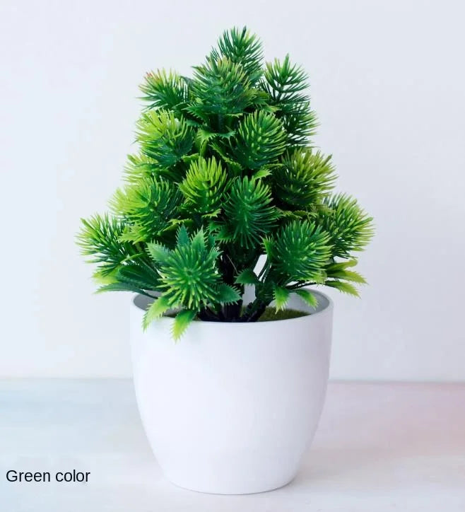 BowLift | Small Tree Pot Bonsai Plants