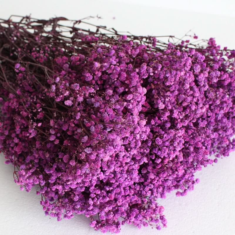 BowLift | Dried Preserved Gypsophila Flower Bouquet – Natural Decor