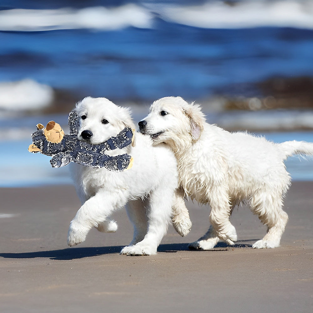 BowLift | Indestructible Robust Bear