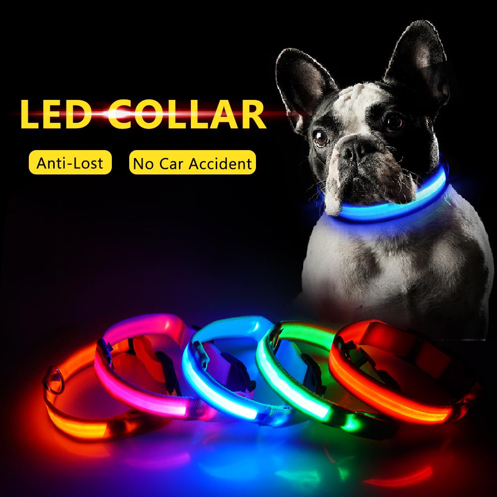 BowLift | Light Up Dog Collar - Flashing Dog Collar