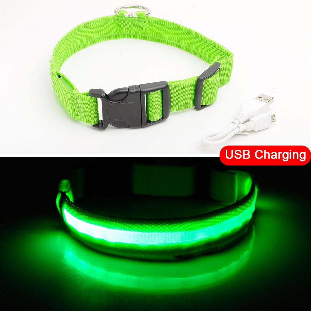 BowLift | Light Up Dog Collar - Flashing Dog Collar