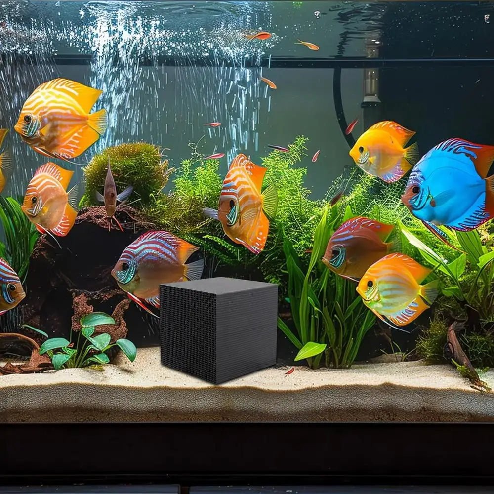 BowLift | Natural Organic Filtration Cube for Stable and Yard Water Systems