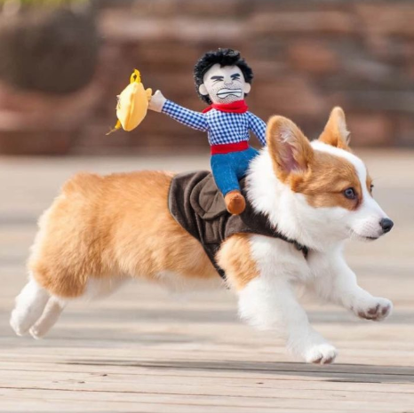 BowLift | Halloween Cowboy Dog Costume Outfit