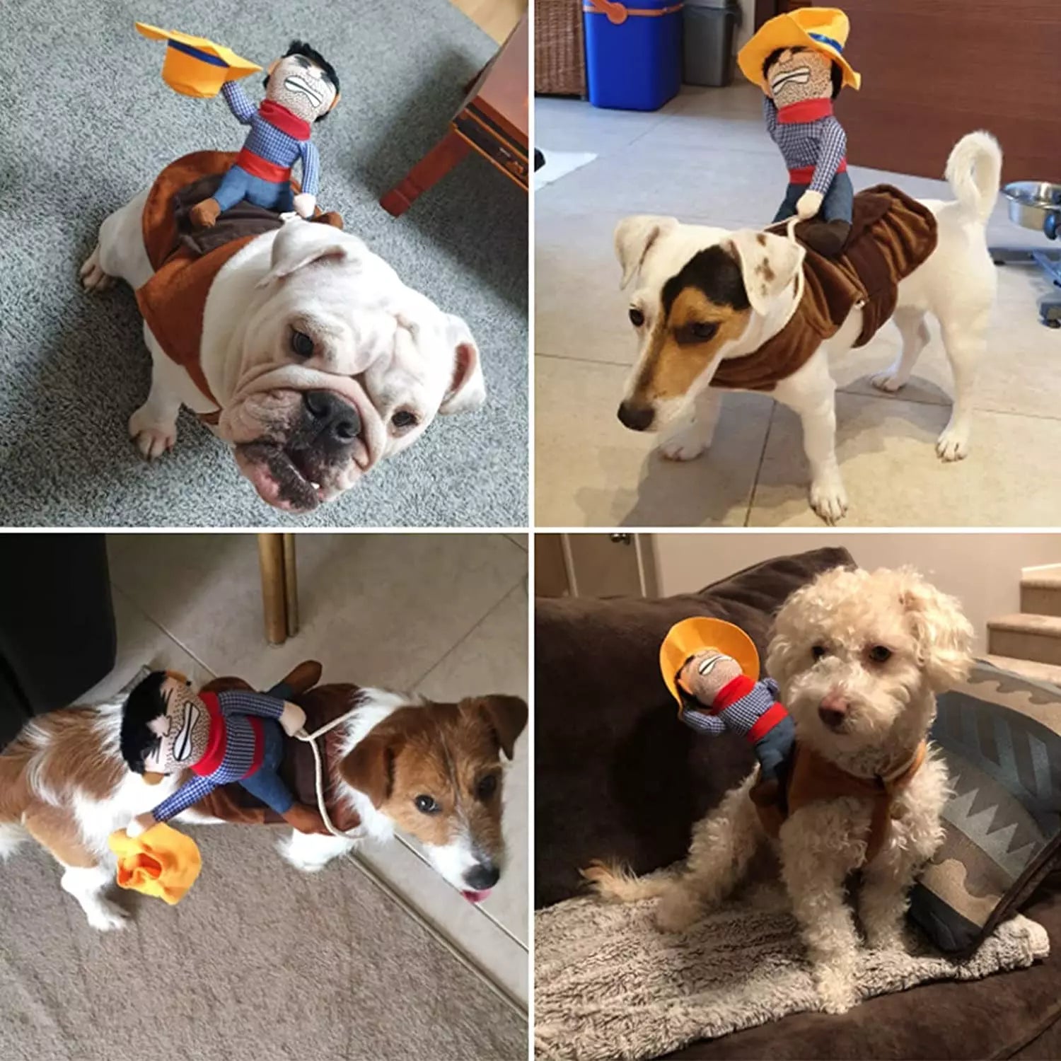 BowLift | Halloween Cowboy Dog Costume Outfit