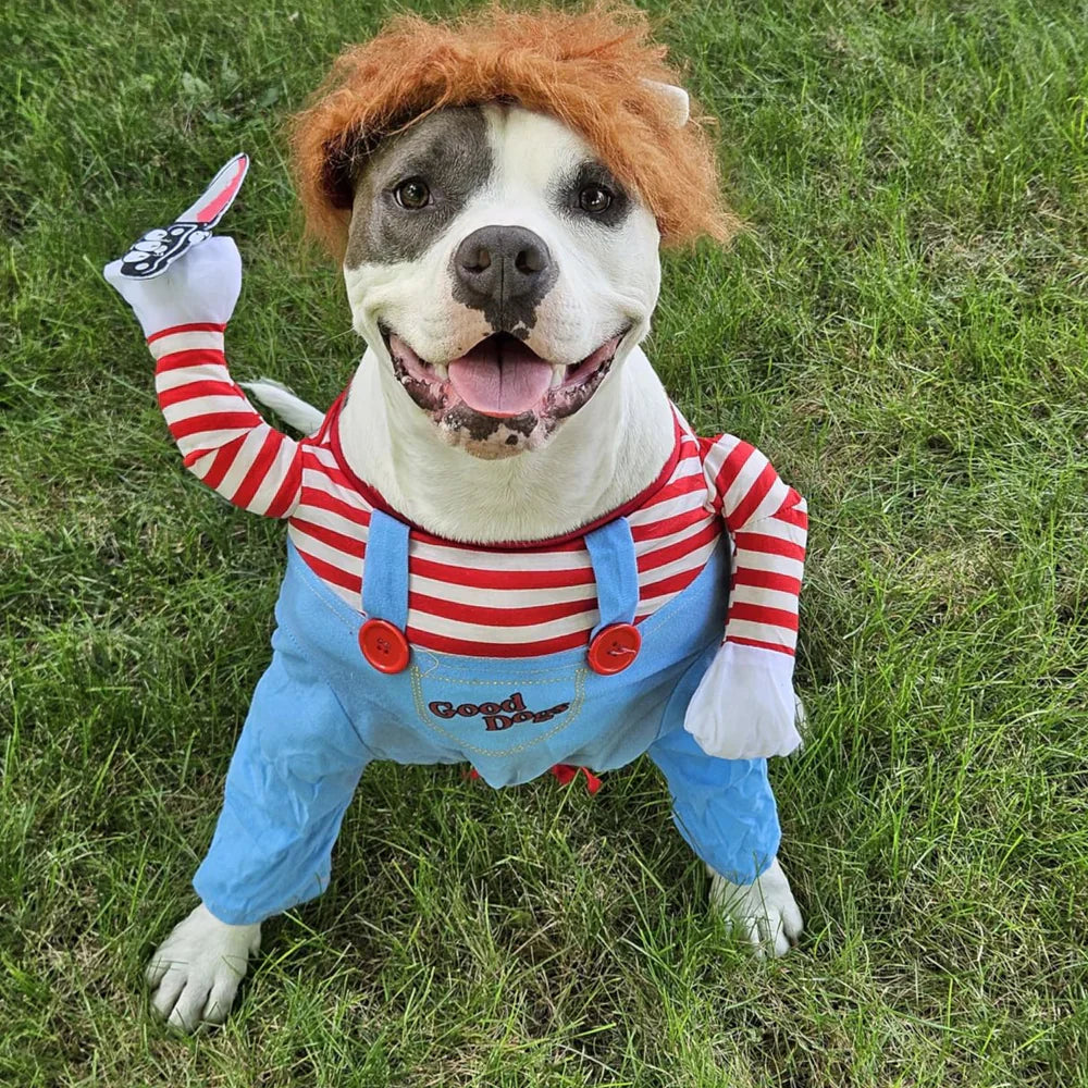 BowLift | Halloween Dog Costume Funny Pet Outfit