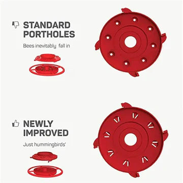 BowLift | Hanging Bee Proof Hummingbird Water Feeders with Perch