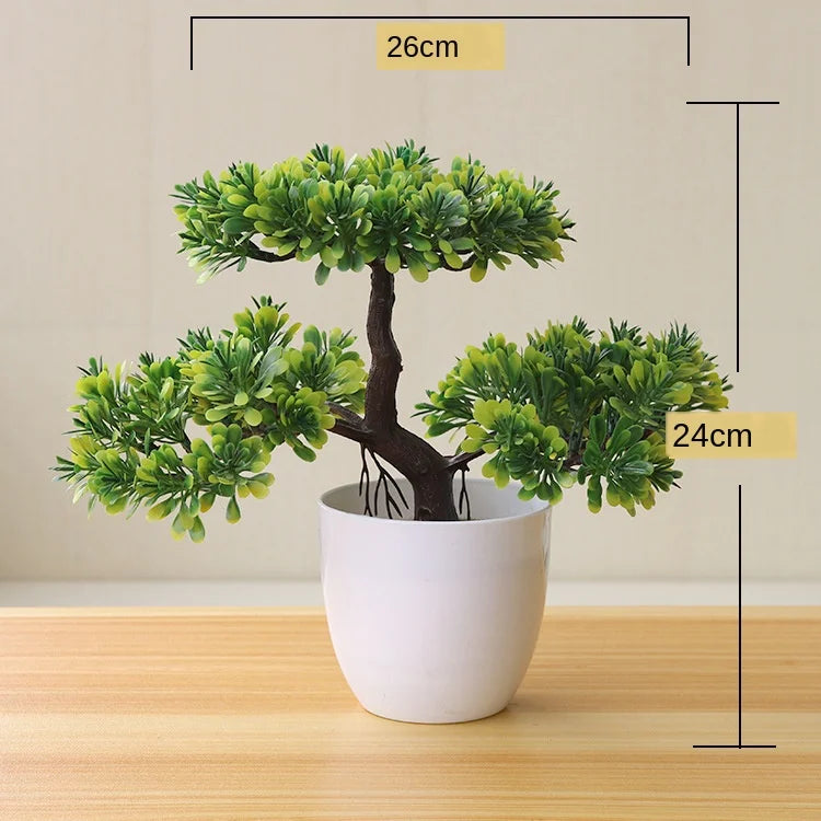 BowLift | Small Tree Pot Bonsai Plants