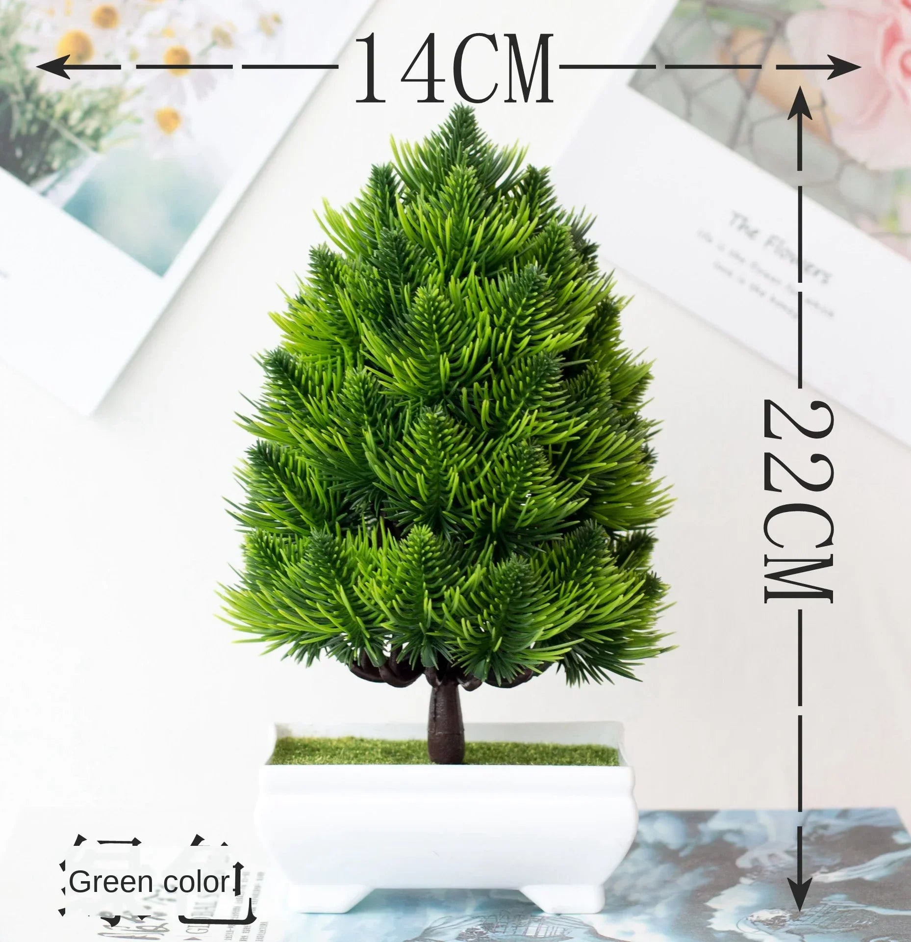 BowLift | Small Tree Pot Bonsai Plants