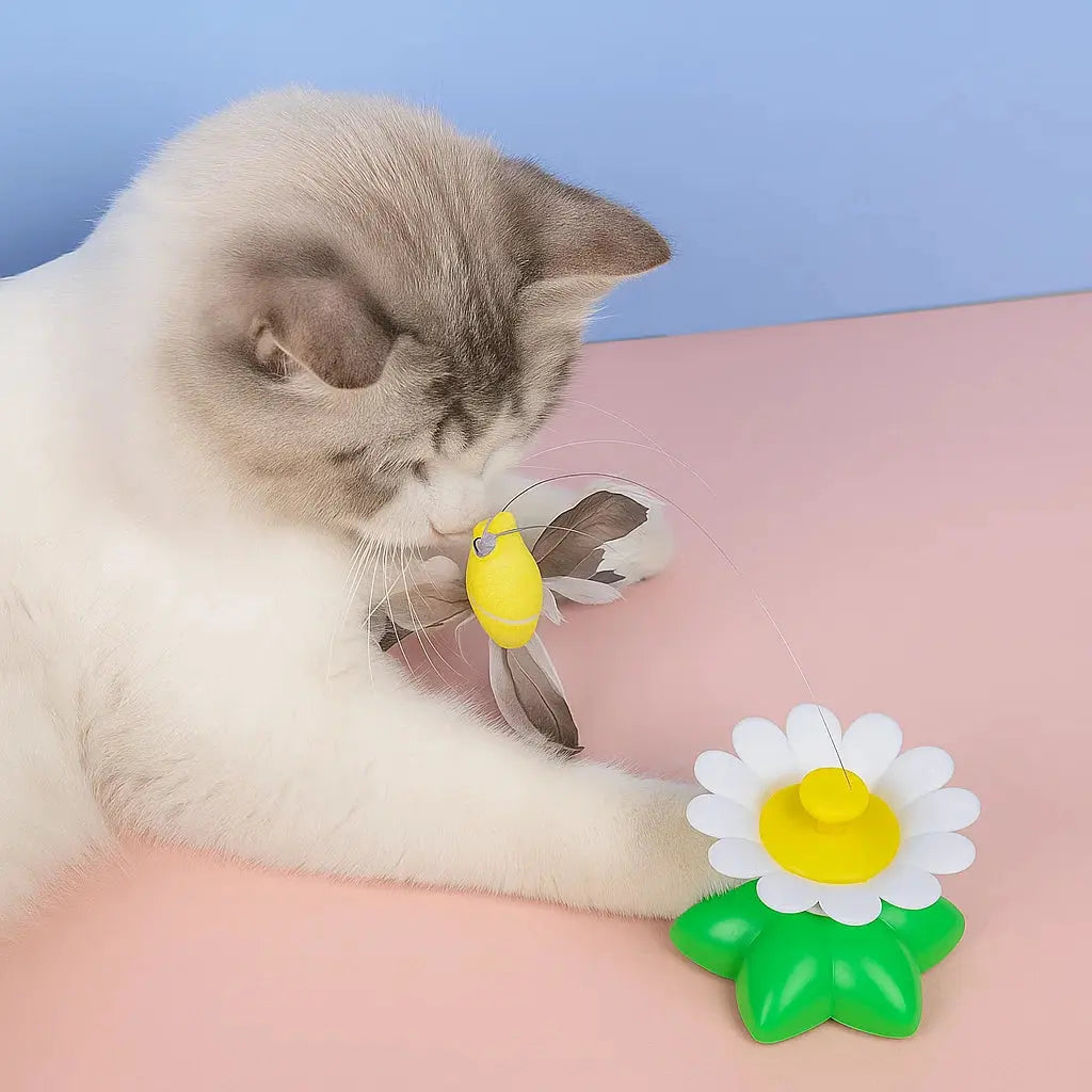BowLift | Cat toy with fluttering bird – For more fun and less boredom