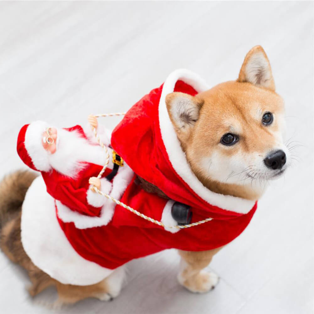 BowLift | Christmas Santa Costume for Dogs – Festive Outfit for your Pet