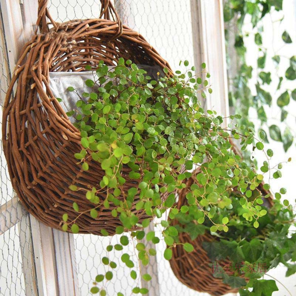 BowLift | Maison Handwoven Hanging Basket