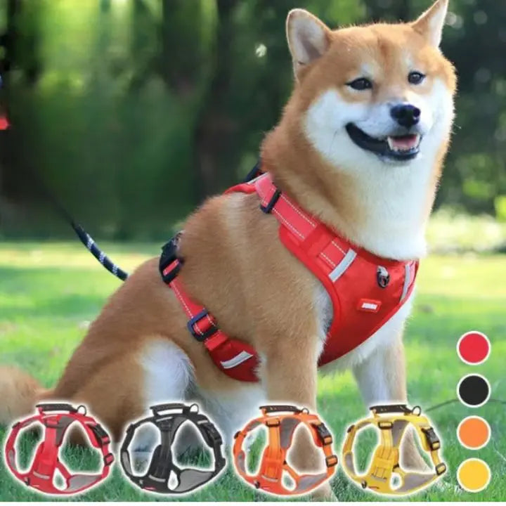 BowLift | No-Pull Dog Harness with Reflective Nylon