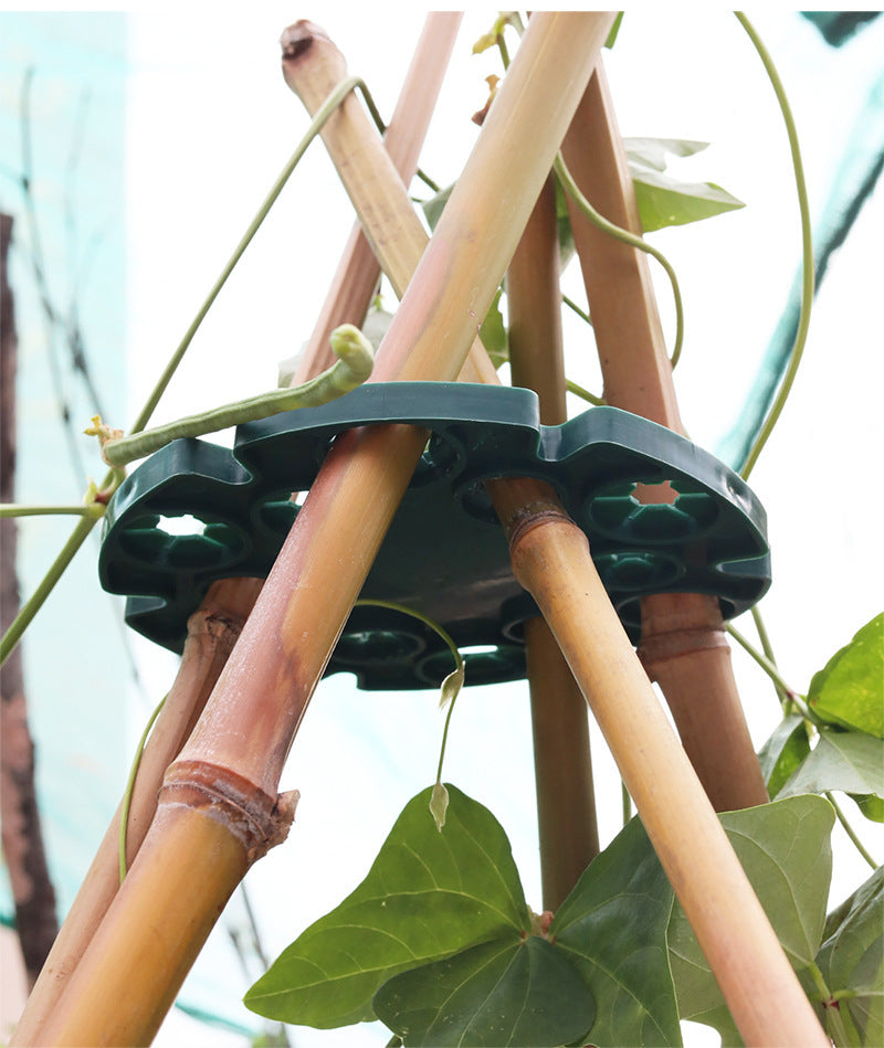 BowLift | Plant support ring for bamboo poles – Stable climbing aid for tomatoes and climbing plants