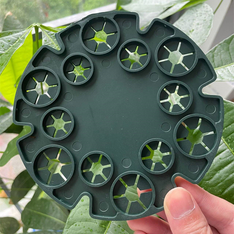 BowLift | Plant support ring for bamboo poles – Stable climbing aid for tomatoes and climbing plants