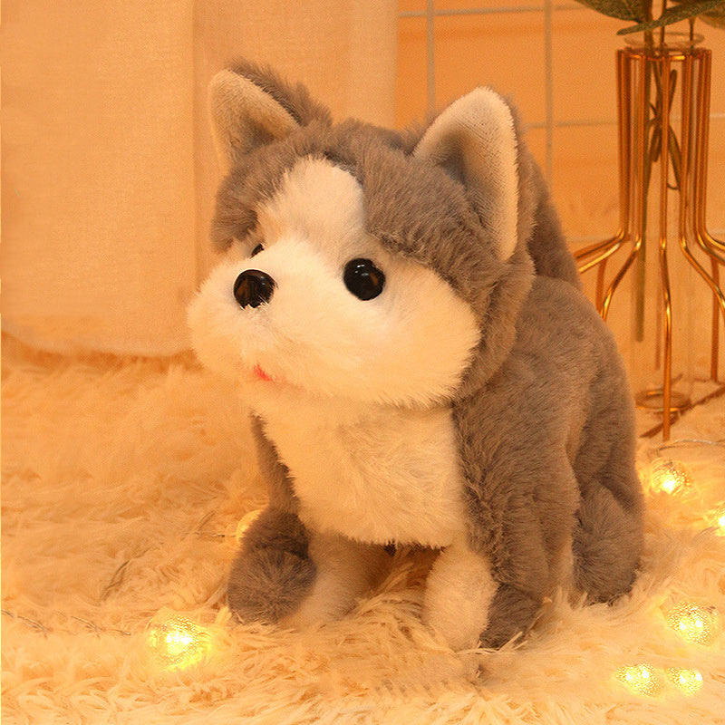 BowLift | Interactive Simulation Toy