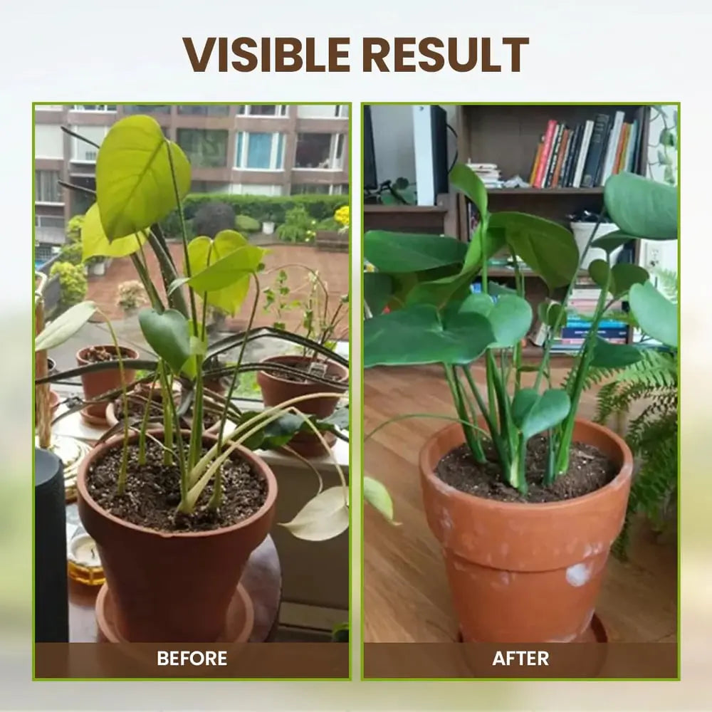 BowLift | Organic Soil Activator for Robust Plant Growth