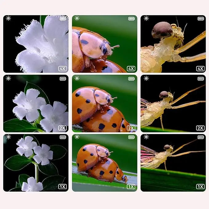 Educational Children's Microscope